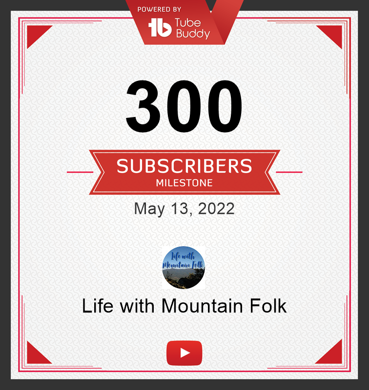 300SubscribersMilestone!.png