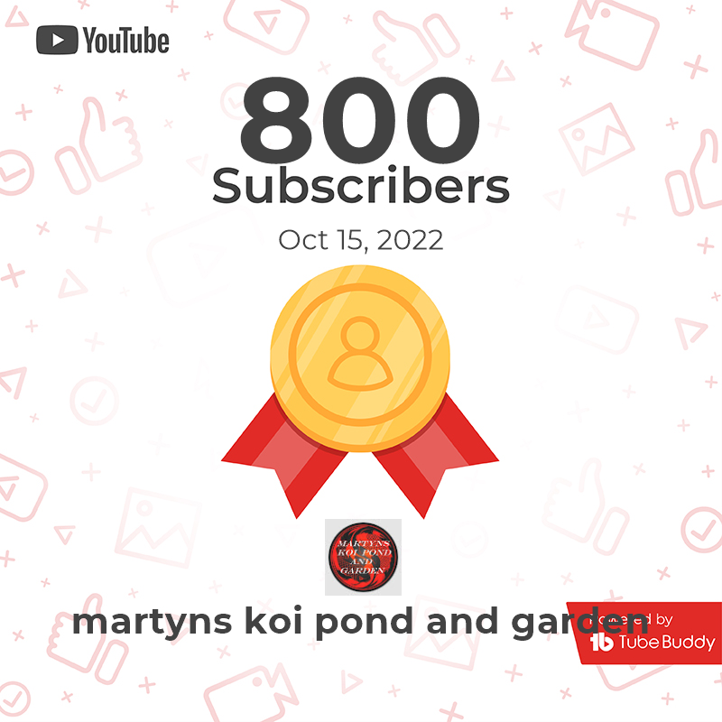 800_Subscribers_Milestone_(1)[1].png