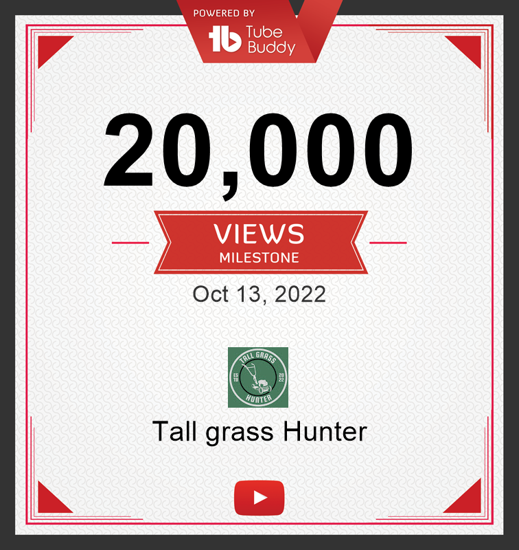 20,000 Views Milestone.png