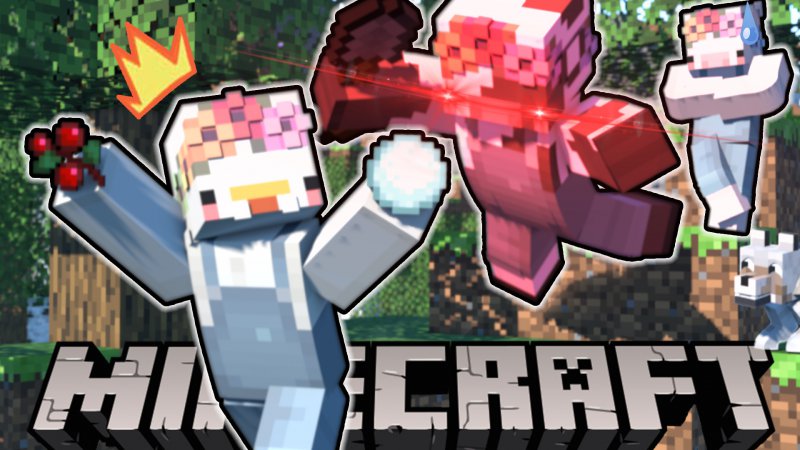 Minecraft_Thumbnail2_-_13_outlines_smoll.jpg