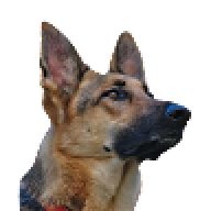Epic Dogs