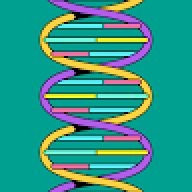 hichamxa