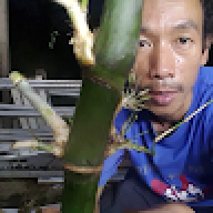 Ariyanto