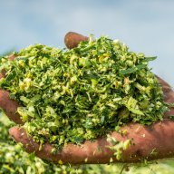 punjabsilage