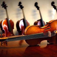 topviolin