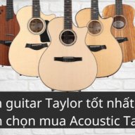 guitartaylortotnhat