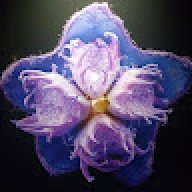 YaserLuminous