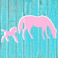 Horse Crazy Momma