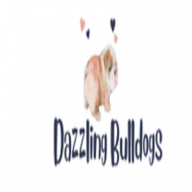 dazzlingbulldogs