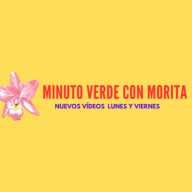 Minuto Verde