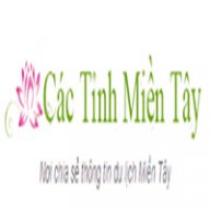 cactinhmientay