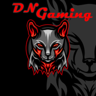 DN Gaming