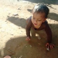 Rohit@8017
