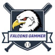 Falcons Gammer