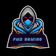 FMS Gaming