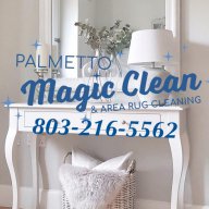 palmettomagicclean