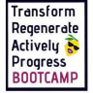 Trap Bootcamp