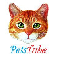 petstube