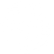 thepickledbeards