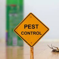 pestcontrolservice