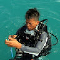 Dedi Habank