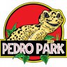 MrPedroTheGecko