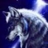 BlueWolf