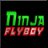 Ninja Flyboy