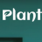 Plantale