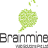 brainmine