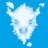 Cloudy Buffalo