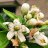 mostafasiraj42@gmail