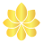 vaisoisynex