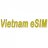 Vietnamesim