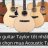 guitartaylortotnhat