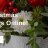 everpetalflorist