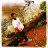 theabhineetarora