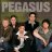 pegasusbandmerch