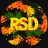 rsdmtb1