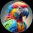 Macaw