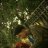 fadli
