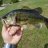 pondpredator